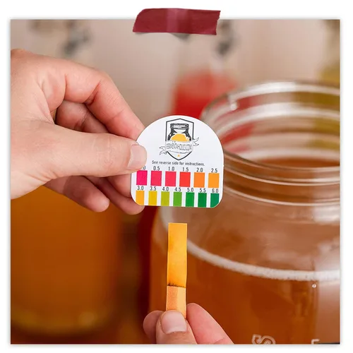 Miniatura 6 de Fermentaholics Kombucha SCOBY ORGÁNICO con doce onzas de té de iniciación – Cultivo de inicio en vivo – hace un lote de un galón – 1.5 tazas de té