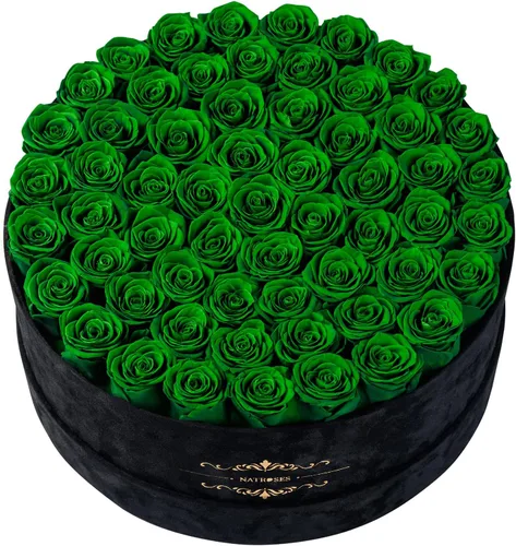 Miniatura 25 de NATROSES 27 Rosas Preservadas para Siempre en una Caja, Flores Preservadas para Entrega de Cumpleaños, para Mamá, Buttermilk Suero de mantequilla