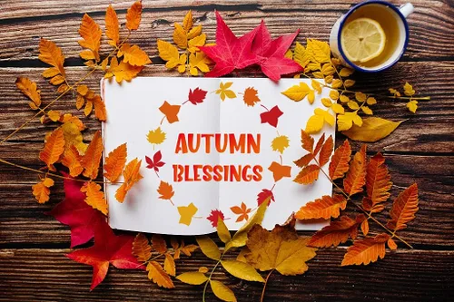 Miniatura 7 de 8 plantillas de pintura de otoño y otoño, plantillas de dibujo de Acción de Gracias, plantillas de plástico para manualidades, decoración del hogar