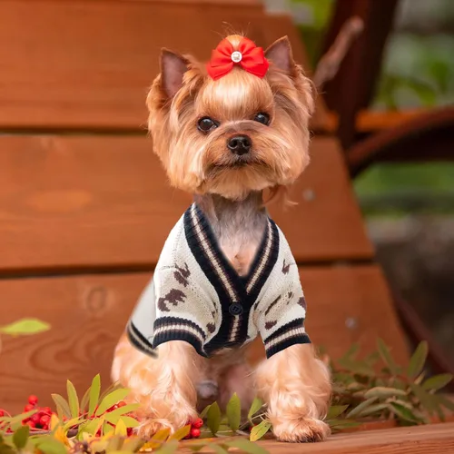 Miniatura 7 de ABRRLO Suéteres para Perros Pequeños Lindos Cárdigans de Perro con Oso Ropa para Perros Pequeños Medianos Niño Niña Cachorro Gato Cárdigan de Punto