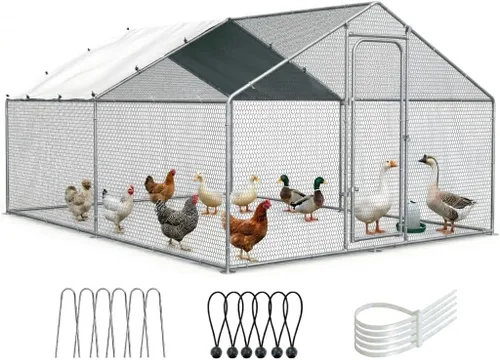 ORANLAND Gallinero de metal grande, 9.9 x 9.9 x 6.6 pies con tapa, corral de pollo con techo de espira con cerradura de seguridad, jaula de conejo