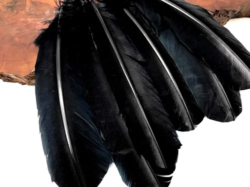 Miniatura 5 de Moonlight Feather 200 piezas - plumas de pavo - pavo negro ala redonda pluma grande al por mayor plumas a granel Halloween, artesanía india, boda