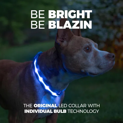 Miniatura 2 de Blazin - Collares luminosos para perros, collar led original para perros con 1,000 pies de visibilidad, recargable mediante USB e impermeable