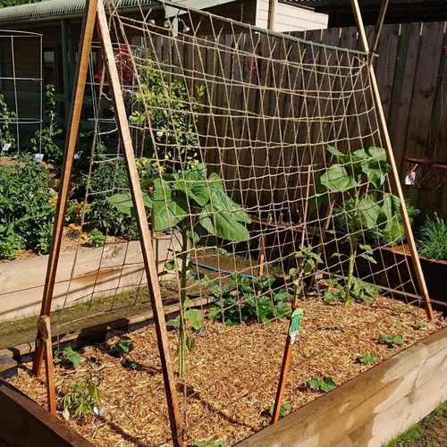 Miniatura 5 de Malla de yute para jardín, red de soporte resistente para plantas trepadoras, pepino, vid, frutas y verduras, plantas trepadoras