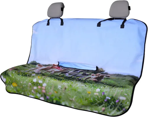 Miniatura 42 de Funda protectora de asiento de automóvil, para asientos delanteros, para entrenamiento de gimnasio, correr, natación, playa y senderismo, Dinosaurio