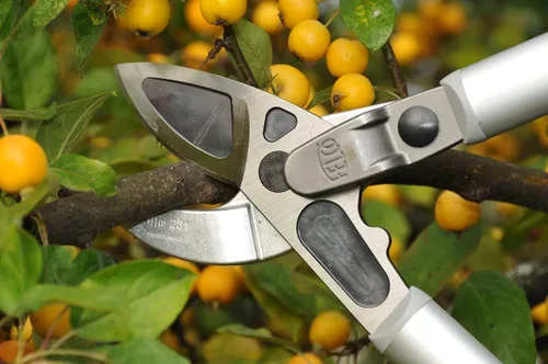 Miniatura 6 de FELCO 90.9 in