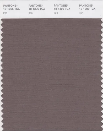 Miniatura 5 de PANTONE Tarjeta de muestra de color inteligente 18-1314X, bellota