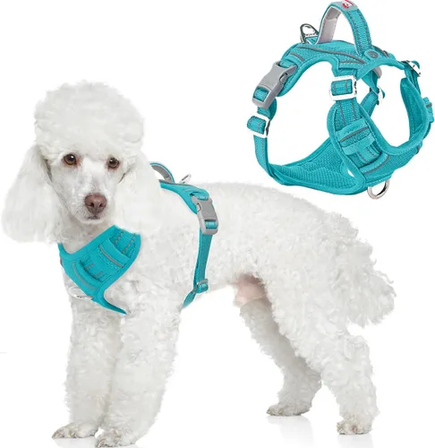 Miniatura 36 de BARKBAY Arnés para perro sin tirones con bolsillo para etiqueta de identificación, resistente, reflectante, fácil control para perros grandes