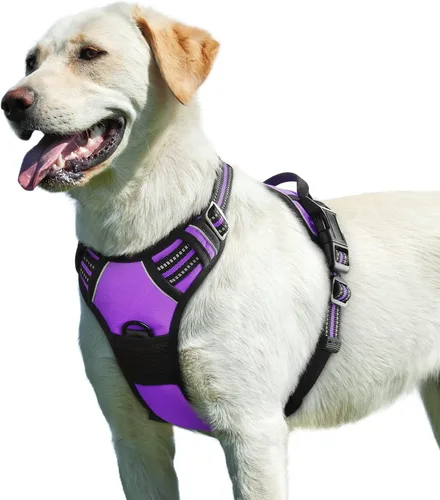 Miniatura 23 de Eagloo Arnés para perro pequeño, sin tirones, chaleco de servicio con tiras reflectantes y asa de control, ajustable y cómodo para caminar, arnés