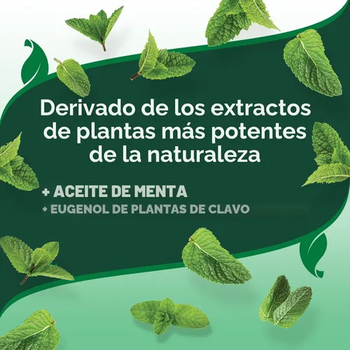 Miniatura 7 de Vet's Best Spray para pulgas y garrapatas para el hogar, tratamiento de pulgas y garrapatas a base de plantas para perros y uso en interiores, spray