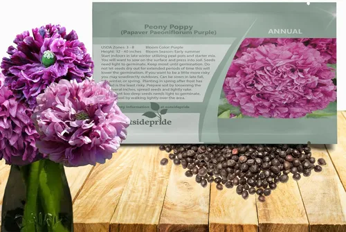 Miniatura 13 de Outsidepride Semillas de amapola de doble mezcla de peonía para plantar, 10,000 piezas anuales, tolerantes a la sequía y fáciles de cultivar