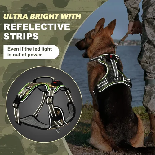 Miniatura 3 de Arnés para perro con luz LED para caminar de forma segura por la noche, chaleco de malla suave que brilla en la oscuridad, chaleco para perros