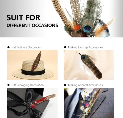 Miniatura 6 de Plumas de sombrero 10 estilos naturales surtidos de plumas para sombreros Fedora, accesorios para manualidades, sombreros de vaquero occidental