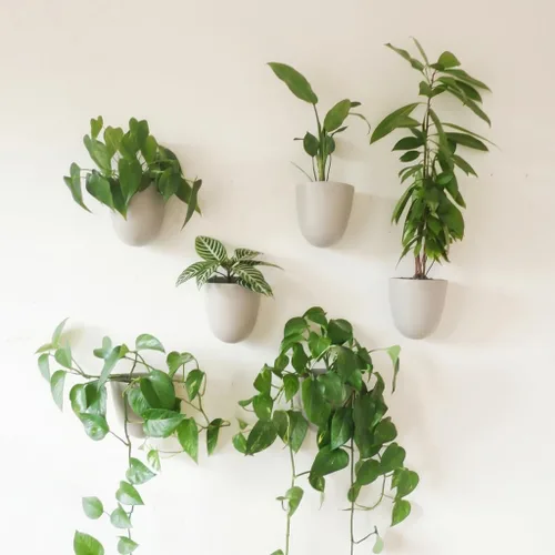 Miniatura 8 de Make Good PlantPod Luxe - Macetas de pared con riego automático (juego de 3, verde bosque), fáciles de regar e instalar, ligeras, diseña tu propio