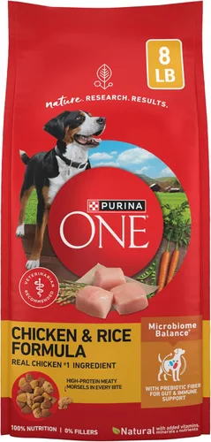 Purina ONE SmartBlend - Alimento seco natural para perros adultos