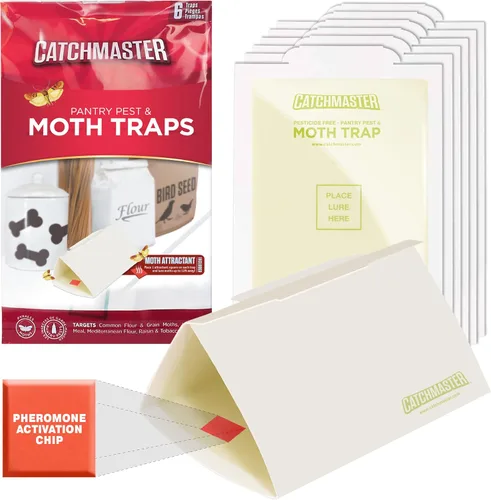 Catchmaster Trampas para plagas y polillas de despensa, paquete de 6 unidades, mata insectos para almacenamiento de cocina, trampas adhesivas para