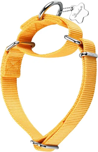 Martingale - Collar para perro, diseño a prueba de fugas y antideslizante, nailon resistente con hebilla de metal, ajustable para perros pequeños,