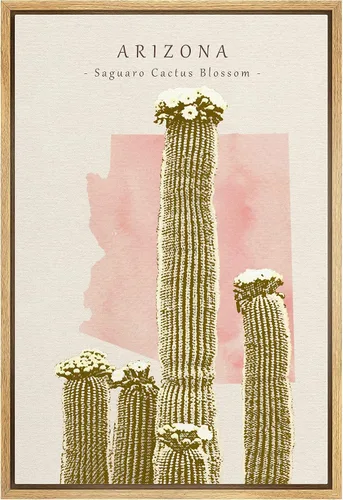 Miniatura 16 de Lienzo enmarcado para pared, diseño de rosa del desierto con pinchos, plantas florales suculentas, fotografía, arte moderno, primer plano