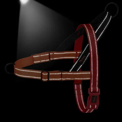 Miniatura 4 de Didog - Arnés para perros sin tirones con asa acolchada suave, ajuste rápido y ligero, arnés ajustable de chaleco, fácil para entrenamiento y paseo