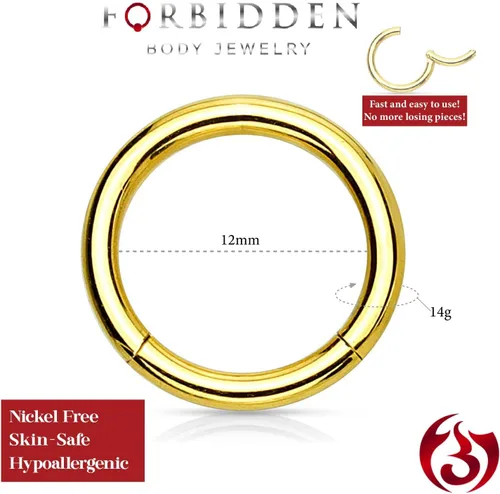 Miniatura 82 de Forbidden Body Jewelry - Piercing para la nariz de acero quirúrgico 316L con bisagra, 14G, 16G, 18G, diámetro de 15/64, 5/16, 25/64, 15/32 pulgadas