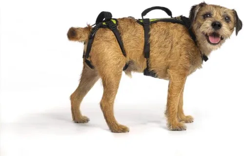 Miniatura 9 de Arnés Help 'Em Up │ Arnés de elevación ajustable para perros │ Soporte de cuerpo completo, soporte de patas traseras (Convencional, Mediano)
