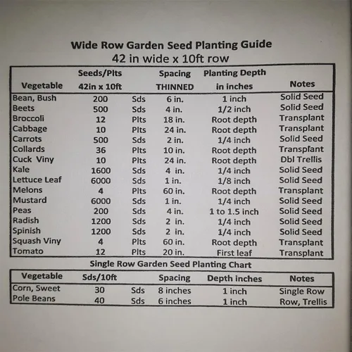 Miniatura 4 de PAPAW'S GARDEN SUPPLY LLC. ¡Ayudando a que la próxima generación crezca! Semillas híbridas de tomate de uva Sweet Hearts, sin OMG, 1 paquete de 10
