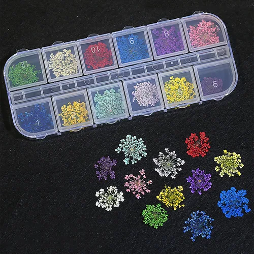Miniatura 8 de 2 cajas de flores secas para uñas, mini flores de uñas reales 3D, flores secas, calcomanías de uñas, decoración de uñas, decoración de manicura