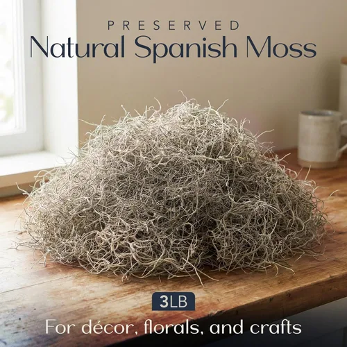 Miniatura 2 de Royal Imports Musgo español natural preservado, trozos sueltos triturados secos frescos, caja a granel de 3 libras