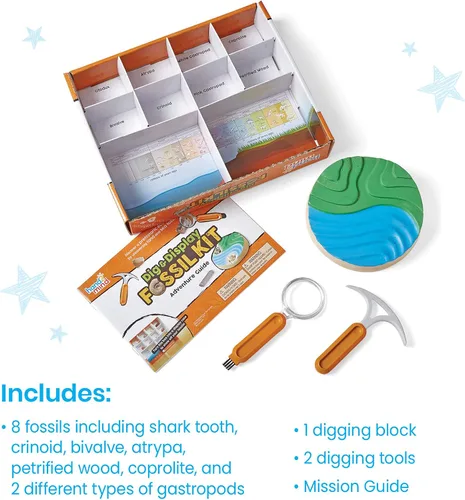 Miniatura 2 de hand2mind - Kit de excavación de fósiles para excavar y exhibir, vitrina de fósiles, 8 fósiles reales para descubrir, kits de excavación para niños
