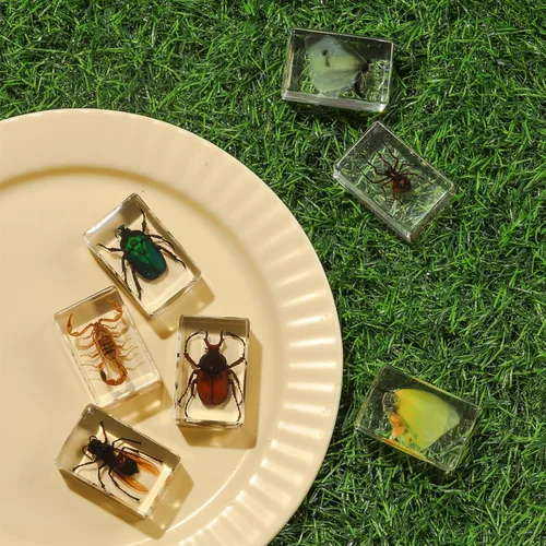 Miniatura 3 de Colección de 12 piezas de insectos en resina, juego educativo de especímenes de insectos para niños, perfecto para preescolar, ciencia de aula