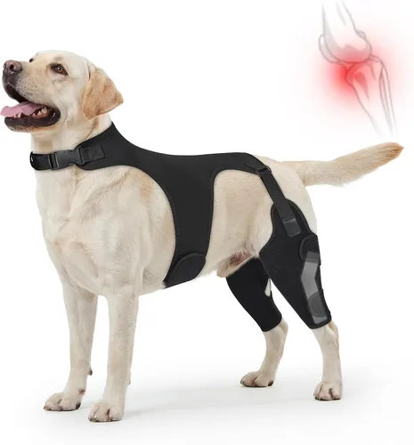Miniatura 9 de Rodillera para perro para pierna trasera desgarrada del ligamento cruzado anterior, soporte ajustable para piernas de perro con estabilizadores