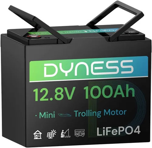 Batería LiFePO4 de 12V 100Ah Mini TM, Grupo BCI 24, Batería de litio de 12V 100Ah con protección contra bajas temperaturas, BMS de 100A incorporado,