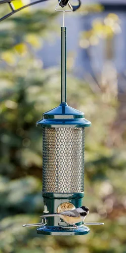 Miniatura 4 de Comedero de aves silvestres Squirrel Buster 1057 de Brome, con 4 posaderos de metal, con capacidad para 0.75 a 1.3 lb de semillas, estándar, 5