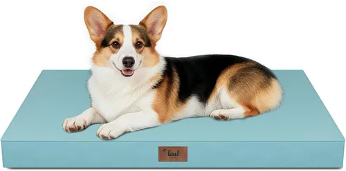 Miniatura 53 de Cama ortopédica de felpa para perros y cachorros medianos, camas impermeables para perros de 30 x 20 pulgadas con funda extraíble lavable, tapete