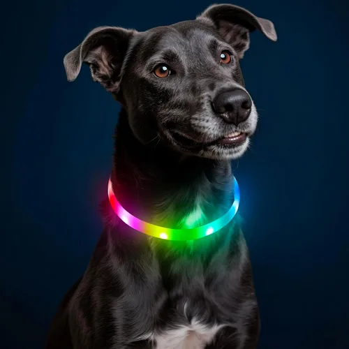 Miniatura 15 de Collar de perro LED Higo - Collares de perro con luz recargable por USB, collar LED para perros con flash DIY para paseos nocturnos de tus perros