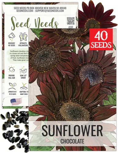 Miniatura 55 de Seed Needs Semillas de girasol para plantar girasoles de manchas solares enanas, semillas de flores de corte anual de polinización abierta