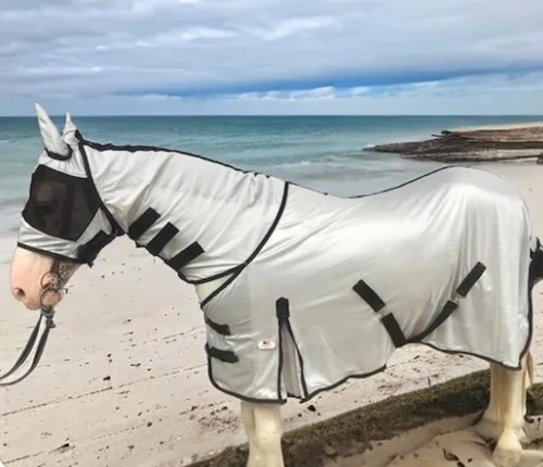 Miniatura 2 de Majestic Ally Sábana para mosca de caballo con cubierta para el cuello y máscara para la cabeza, protección transpirable contra los rayos UV