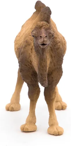 Miniatura 8 de Papo - Figura realista de camello bactriano para niños - A partir de 3 años - Colección Wild Life - Animales exóticos educativos - Juguete de idea