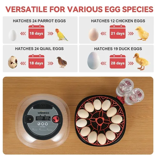 Miniatura 6 de Gen II - Incubadora automática de 12 huevos, humedad de dos etapas con recarga automática y control de temperatura estable, giro automático