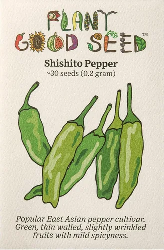 Miniatura 7 de Plant Good Seed Semillas de pimienta Aji Amarillo orgánicas para plantar: chile tradicional peruano, frutos amarillos anaranjados - Paquete de 30