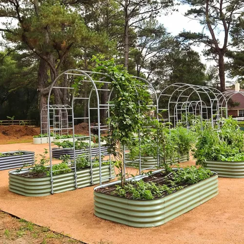 Miniatura 8 de Vego Garden Sistema de Enrejado Modular de Arco de Sección Única de 3.0' de Largo para Cama de Jardín de 2.0' x 5.0' (4 en 1), 3.5' x 5.0' (6 en 1)