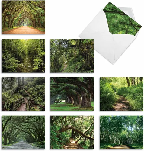 Miniatura 9 de The Best Card Company Juego de 10 tarjetas de agradecimiento surtidas de 4 x 5.12 pulgadas con sobres (10 diseños, 1 cada uno) Palm Beaches M6457TYG