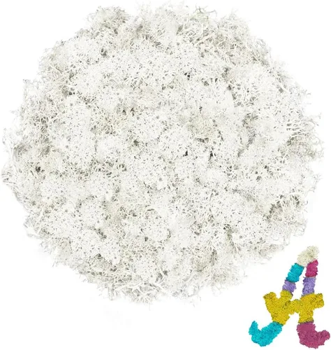 Miniatura 31 de Musgo de reno amarillo preservado de 3.5 onzas para plantas en maceta, decoración artesanal para arte de pared, musgo falso para decoración
