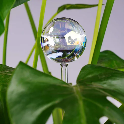 Miniatura 6 de Tomorotec [2 piezas] Sistema de riego automático de vidrio transparente iridiscente de color degradado de arco iris, bombillas automáticas