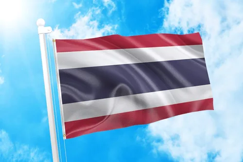 Miniatura 106 de DMSE Bandera de Sierra Leona 3X5 Pies 100% Poliéster Bandera 100D 47-91 x 152 cm