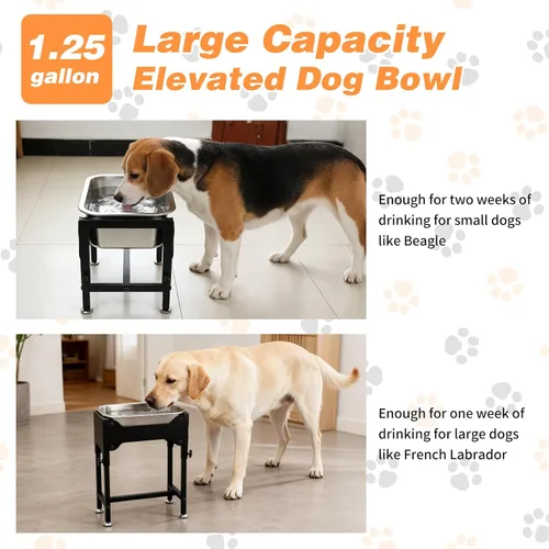 Miniatura 3 de Cuenco elevado de agua para perros de 1.25 galones, 4 cuencos elevados de acero inoxidable ajustables de altura con soporte, cuenco de agua