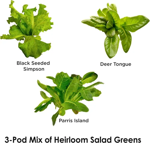 Miniatura 2 de Miracle-Gro AeroGarden - Kit de semilla autóctonas en vainas de ensalada