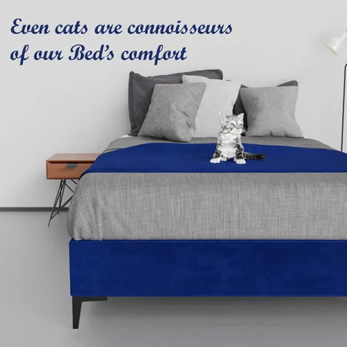 Miniatura 3 de Greaton, Cama de plataforma de madera de terciopelo de alta calidad de 15 pulgadas, duradera, elegante, opciones de multicolor, no necesita somier