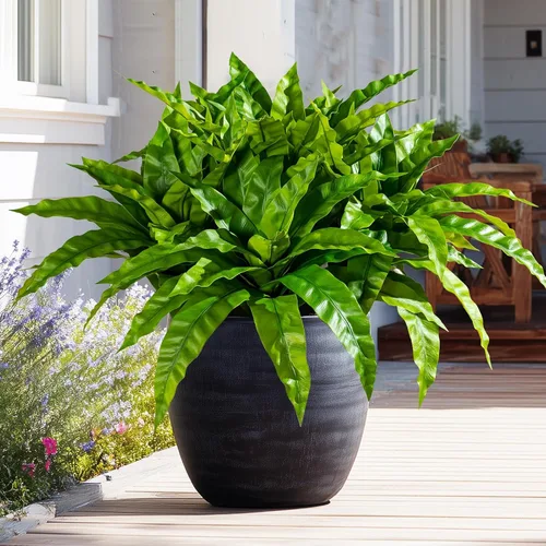 4 Piezas Tallos de Vegetación Artificial Helecho Nido de Pájaro Falso Ramas Falsas Plantas Artificiales Dracaena Falsa Realista Plantas Realistas