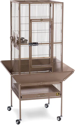 Miniatura 10 de Prevue Pet Products 34522 Dometop - Jaula para pájaros, grande, color blanco tiza Blanco (Chalk White)